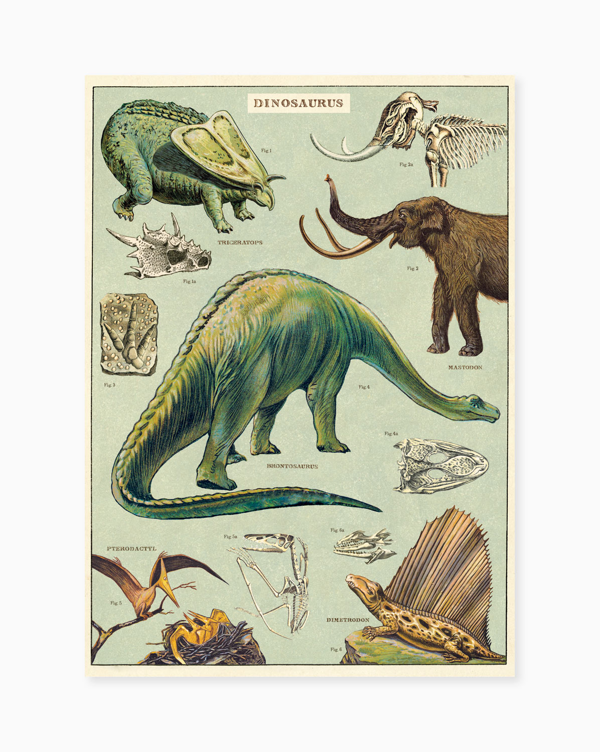 cavallini cheese wrap